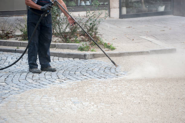 Best Pre-Holiday Cleaning  in Waverly, VA