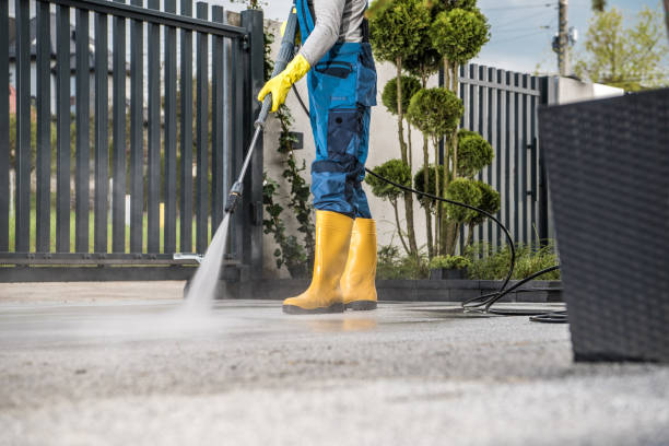 Boat and Dock Cleaning in Waverly, VA